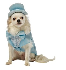 Illustration for article titled The Runaway Dog in the Tuxedo